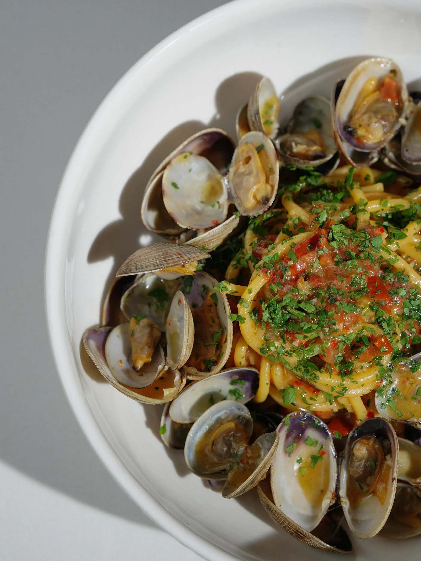 Linguine alle vongole con prezzemolo serviti su piatto bianco